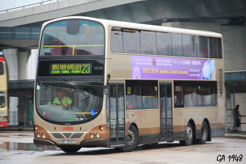 7697 3.jpg