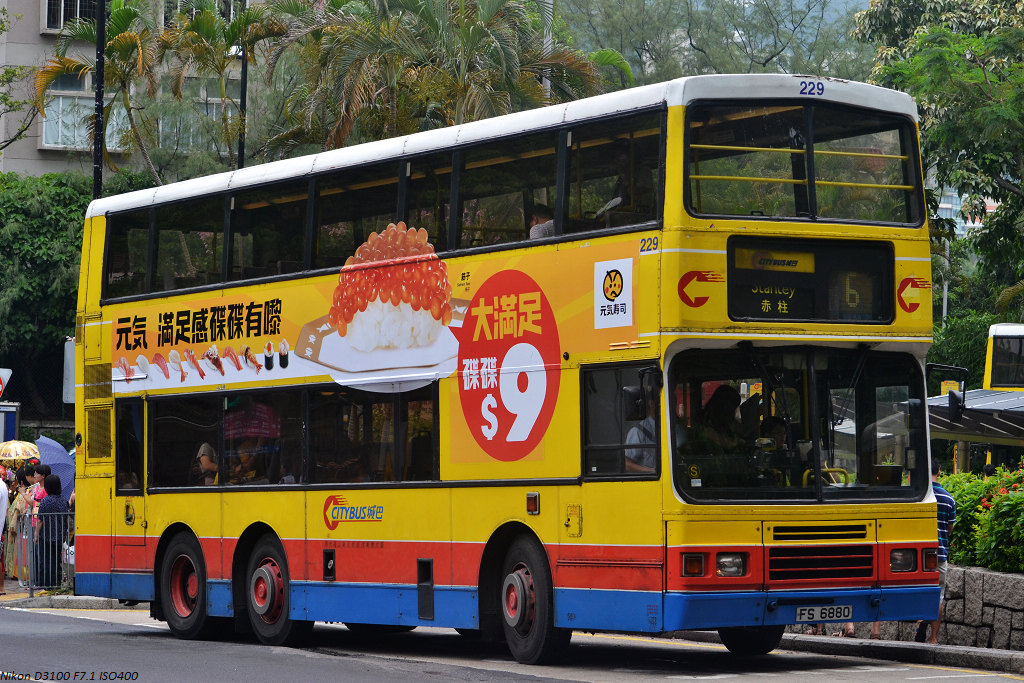 DSC_4521.JPG