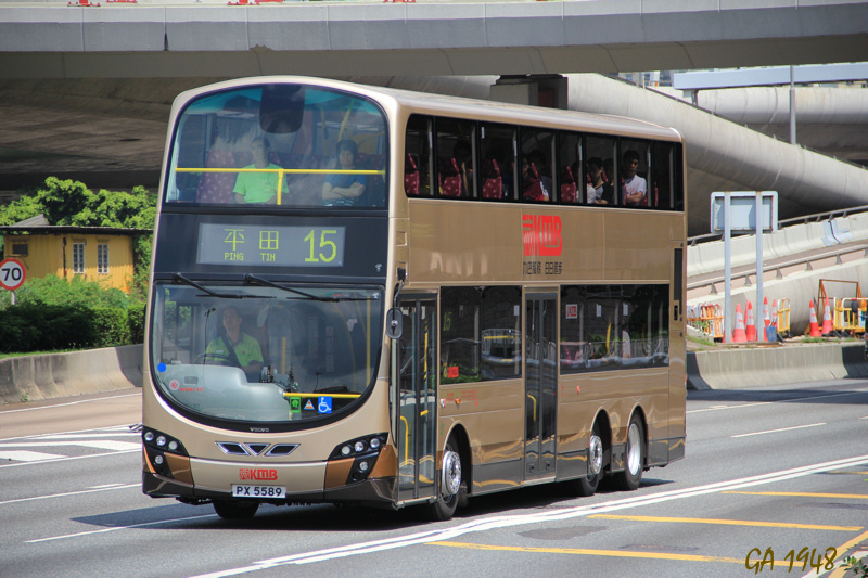 5589.jpg
