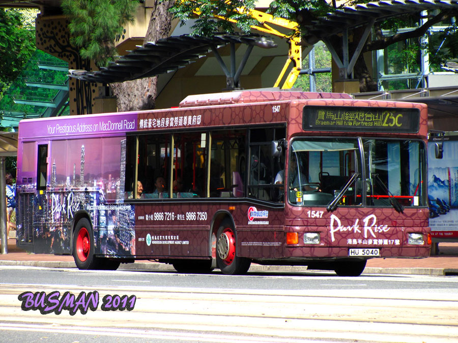 1547-d-25C.jpg