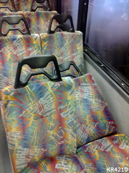 4243.jpg