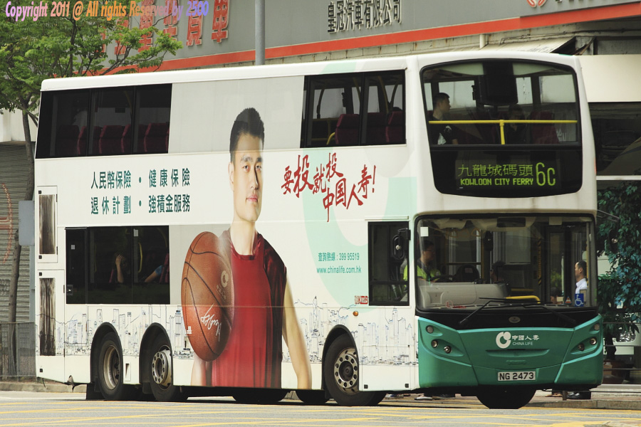yaoming.jpg