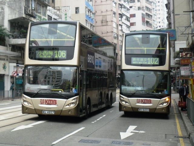 05.jpg