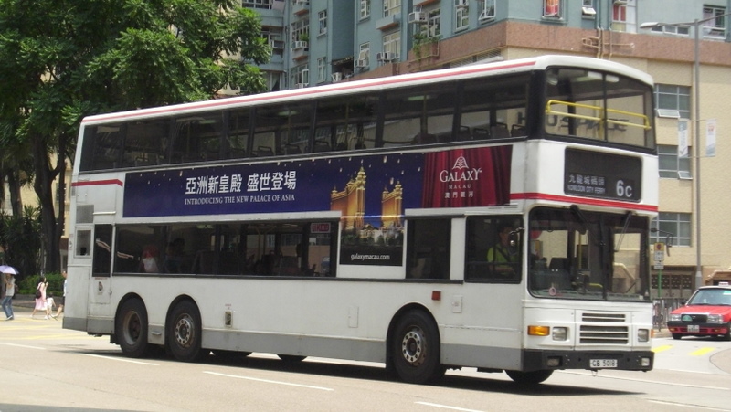 p8740243.jpg