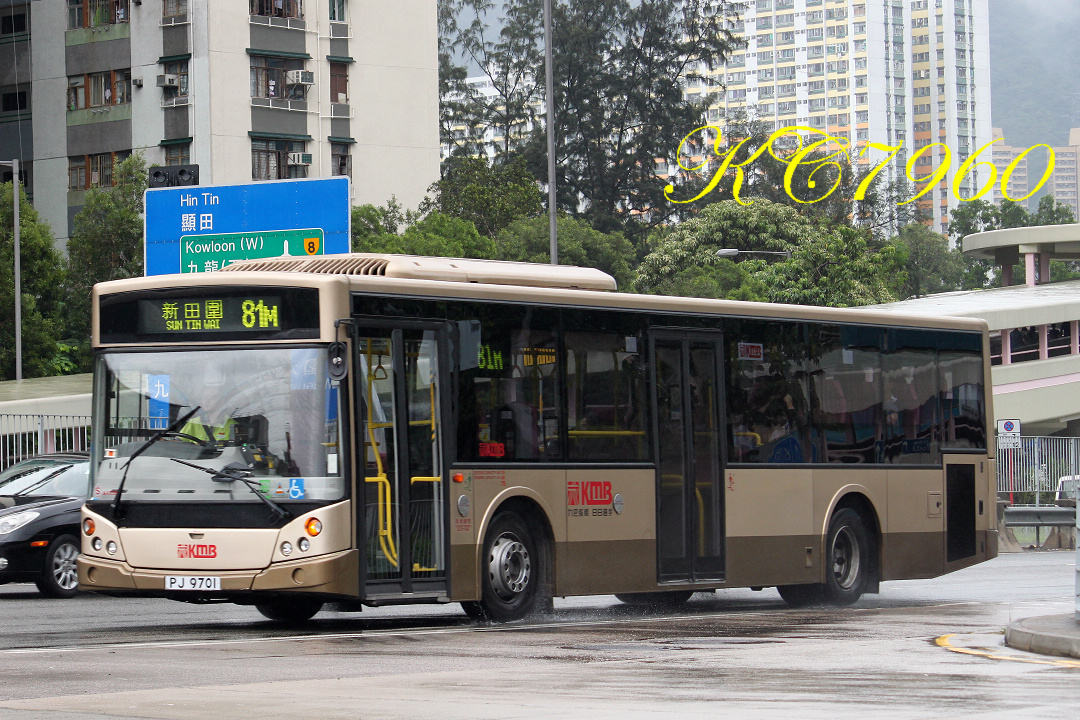 PJ9701_81M.jpg