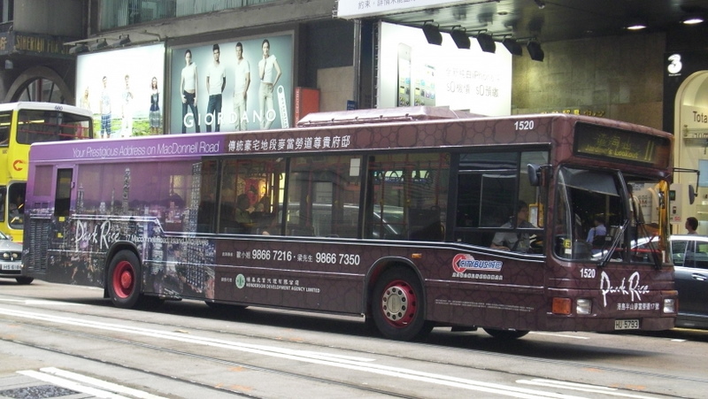 p8740352.jpg