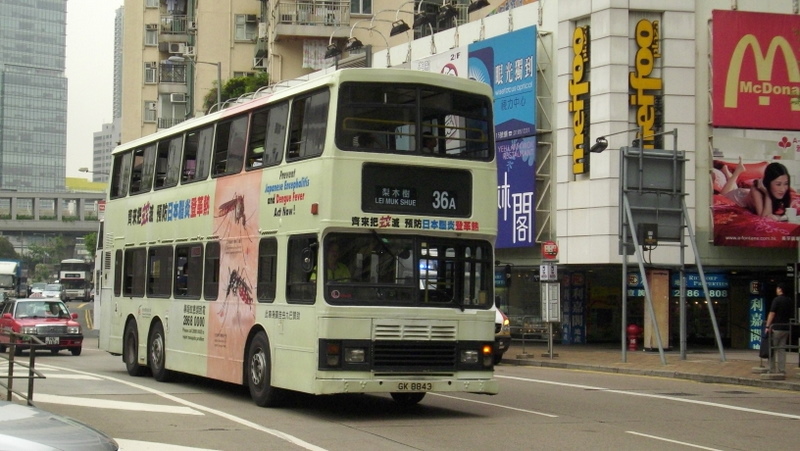p8740330.jpg