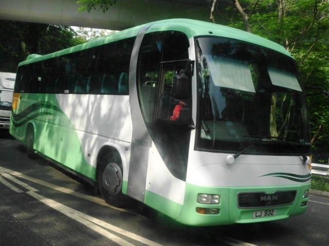 01.jpg