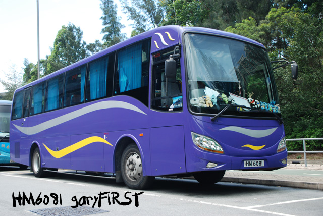 hm6081-4.jpg