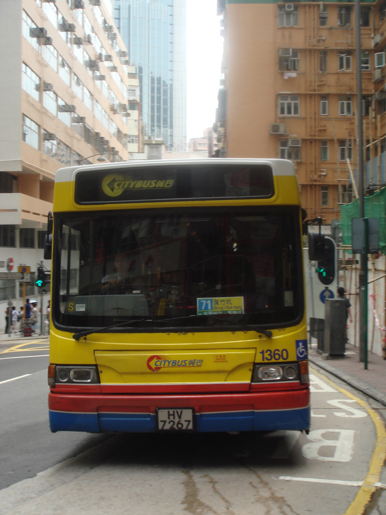 DSC08377.jpg