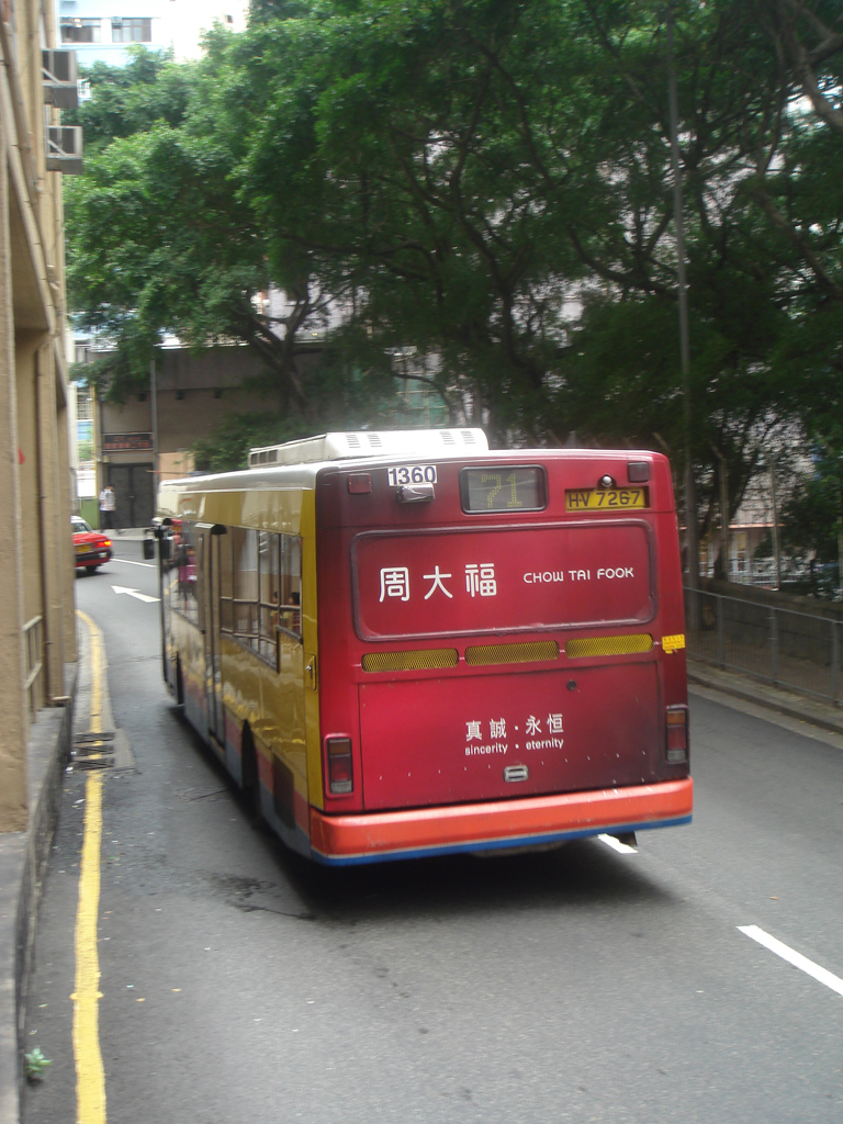 DSC08378.jpg