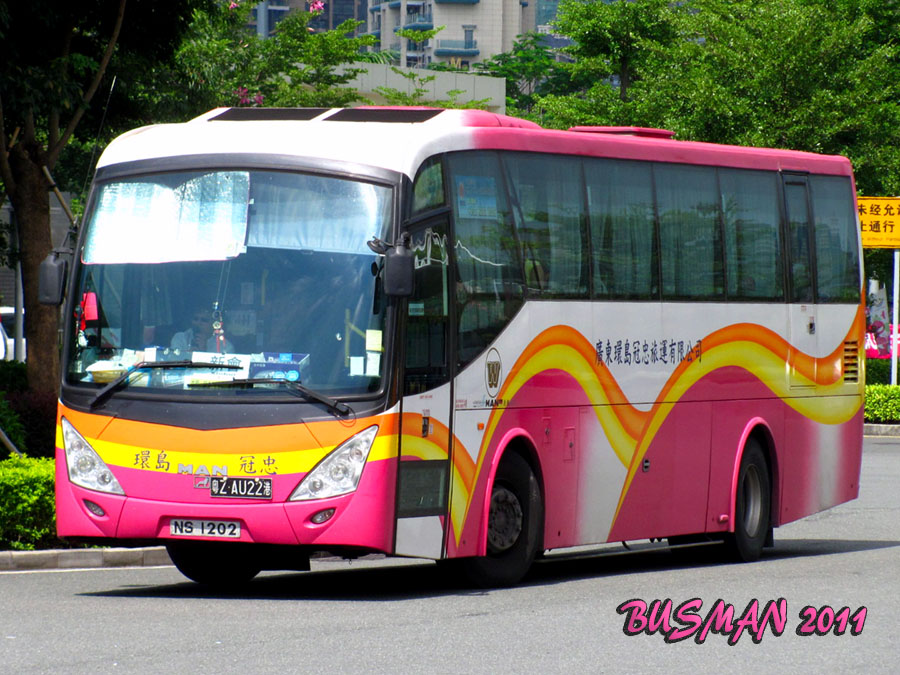 NS1202-a.jpg