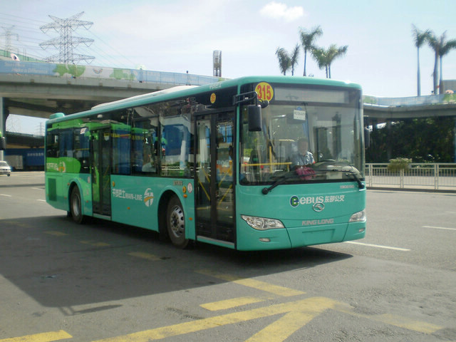 P8114729.jpg