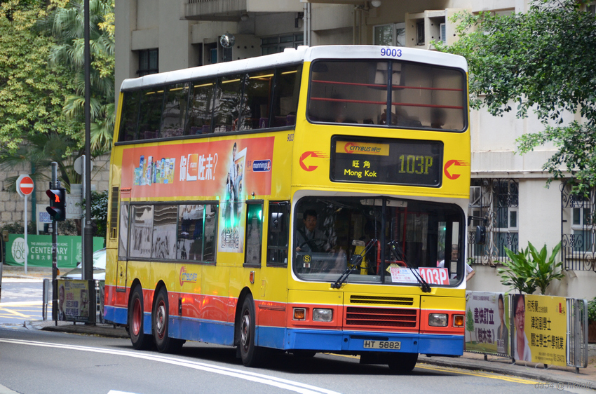 DSC_1616.jpg