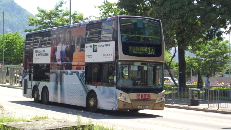 p8750127.jpg