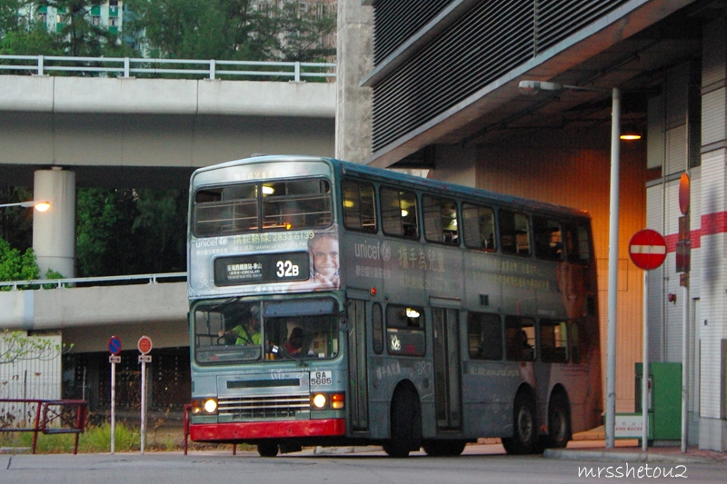 IMGP8117.jpg
