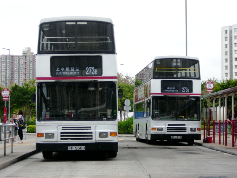 DSCI4297 (2).JPG