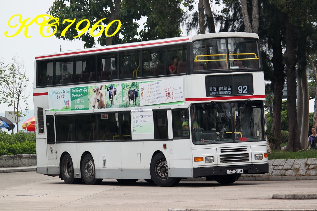 GZ5181_92.jpg