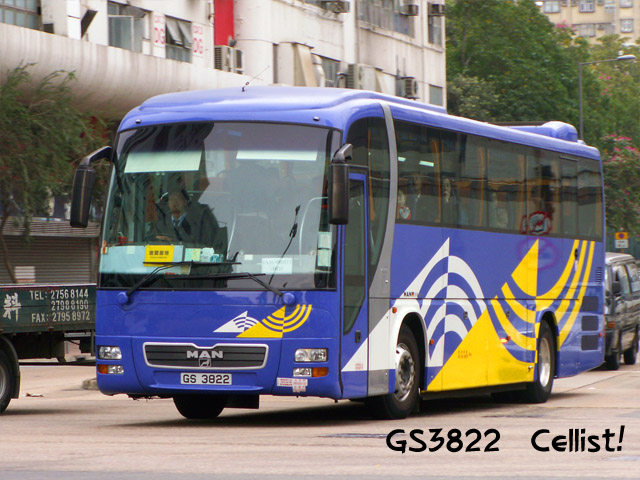 gs3822-2.jpg