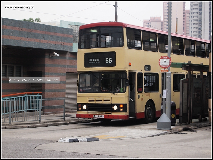 PA174775.JPG