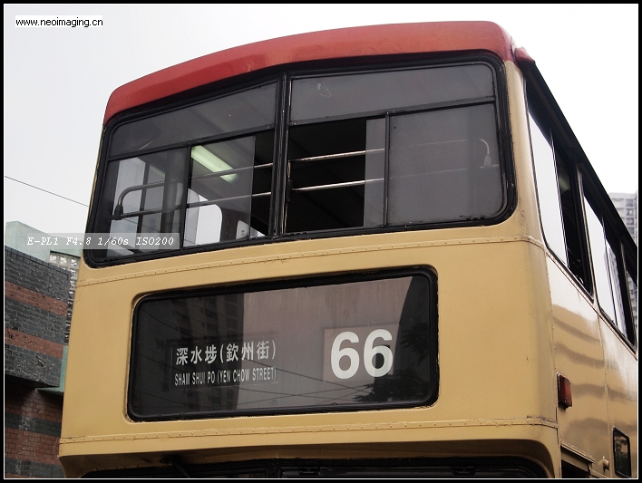 PA174709.JPG