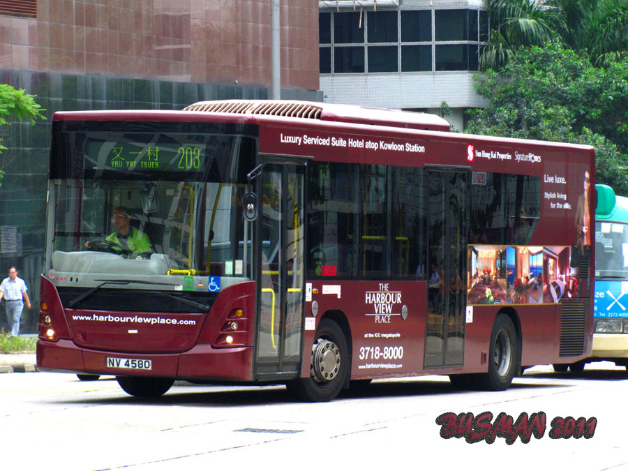 ASB11-d-203.jpg