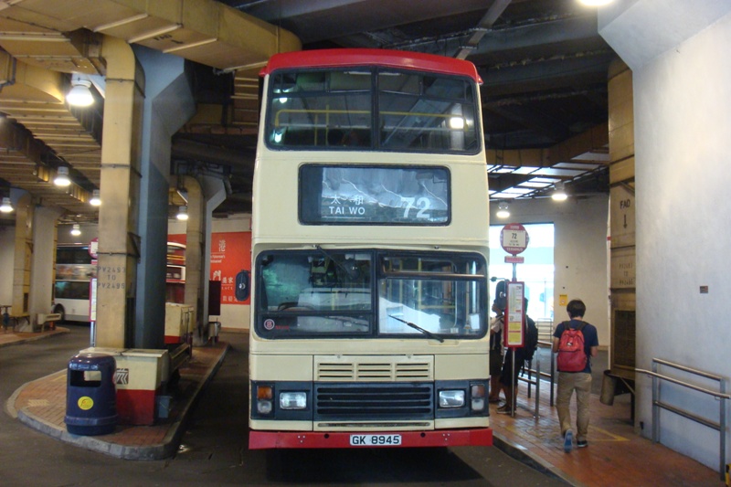 010.JPG