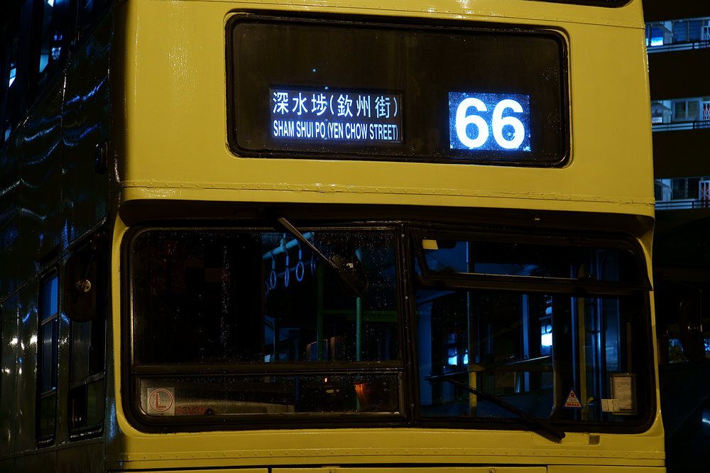DSC05007s.jpg