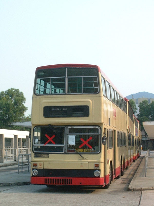 dl3138 a.jpg
