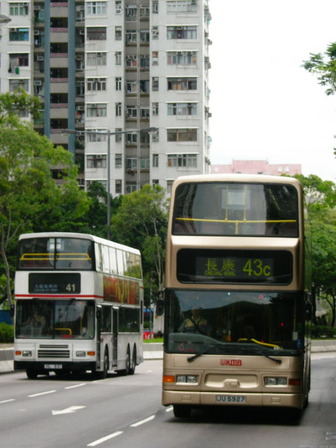 41_43C_1.jpg
