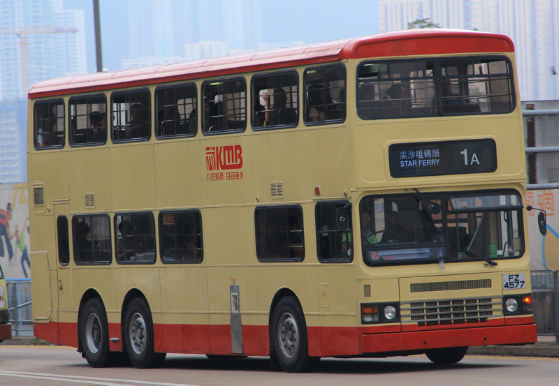 4577.jpg