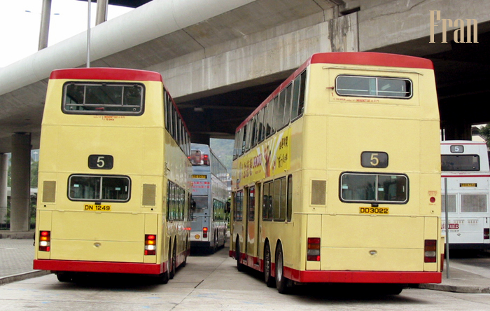 3BL58_DD3022 @ 5_2.jpg