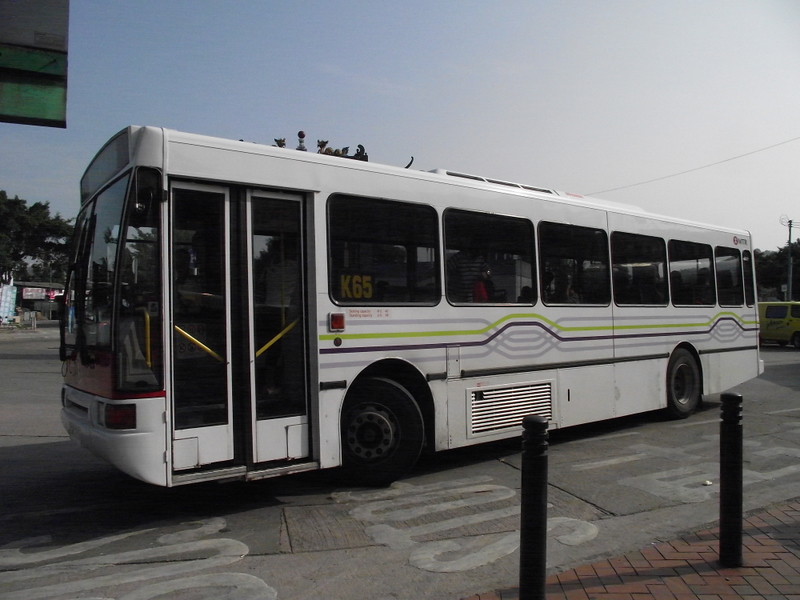 DSCF0186-1.JPG