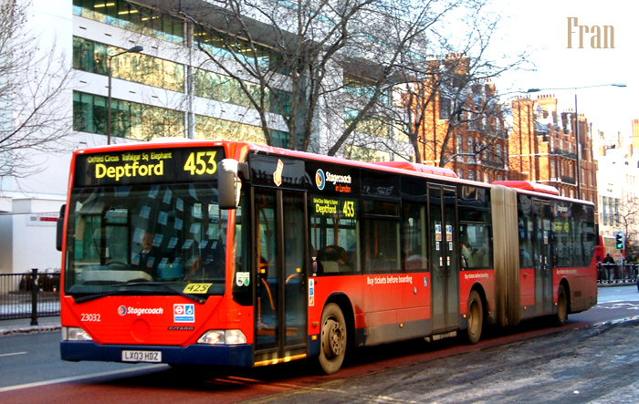DSCF0222.jpg