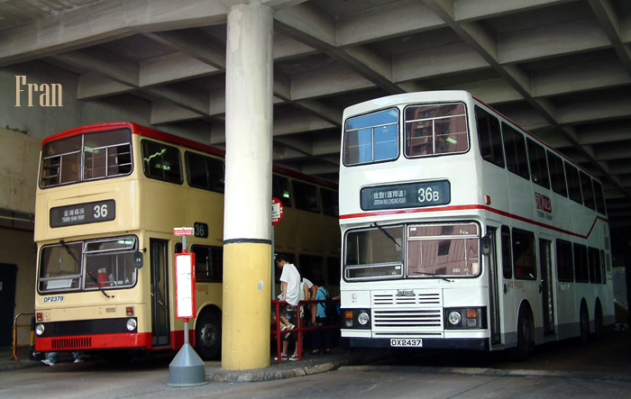 AL1_DX2437 @ 36B_2.jpg