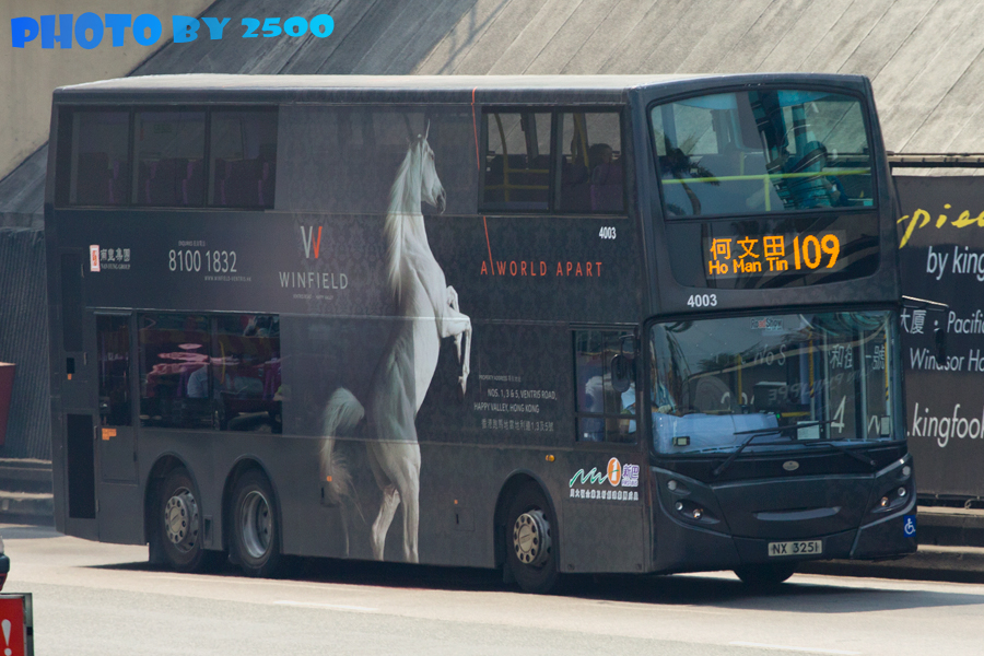 4003.jpg