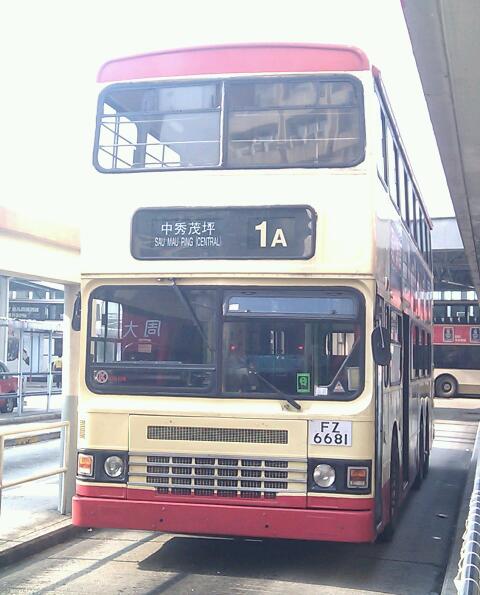 IMG_20111115_090113-1.jpg
