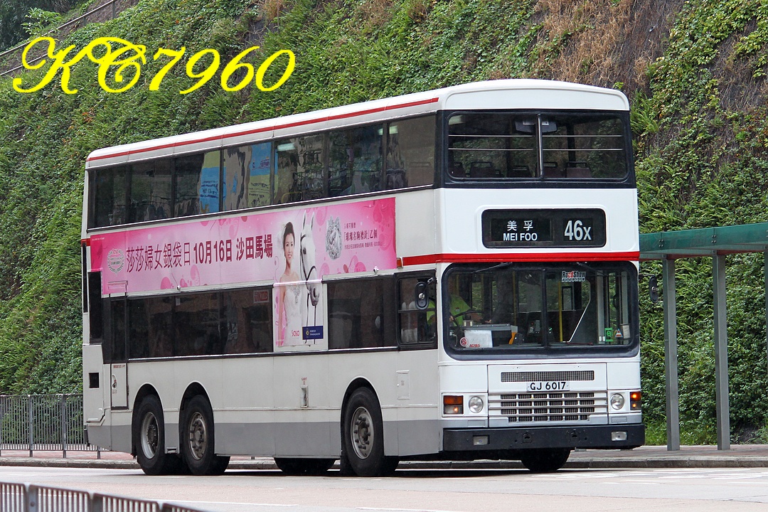 GJ6017_46X.jpg