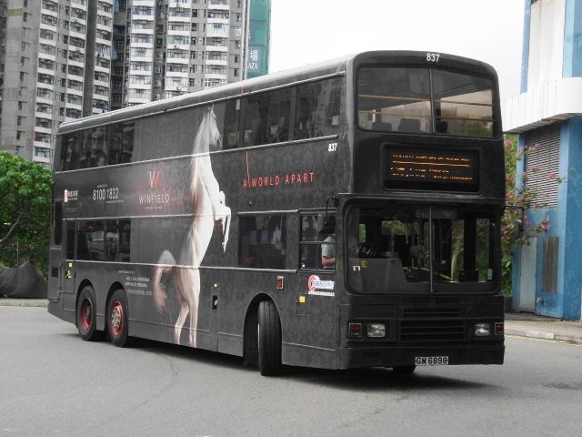 06.jpg