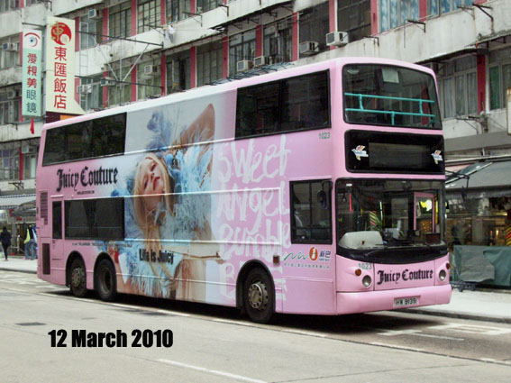 2010a.jpg