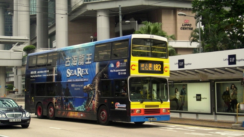 p8770554.jpg