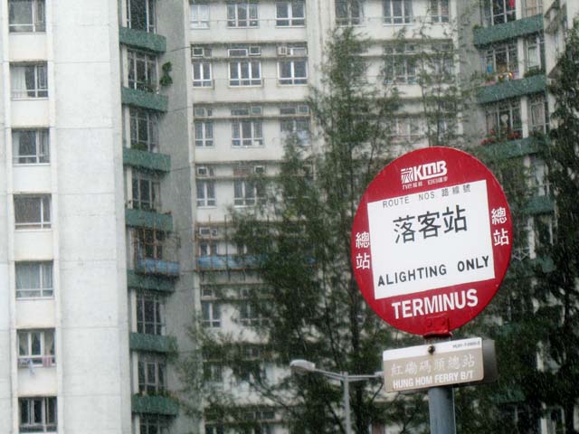 543_4339a.jpg