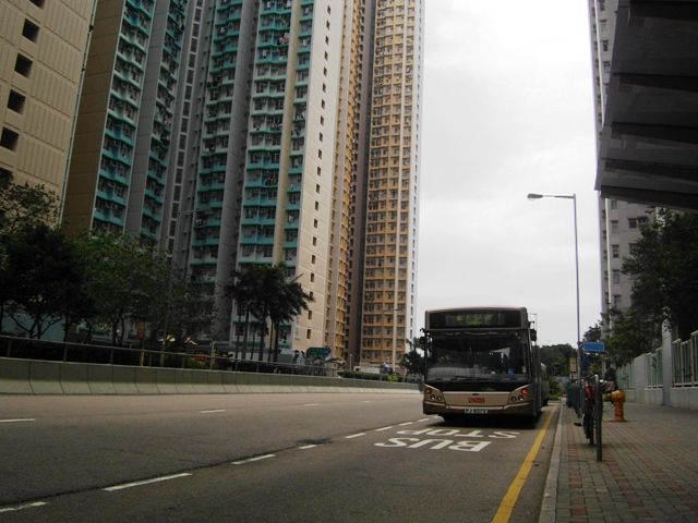 02.jpg