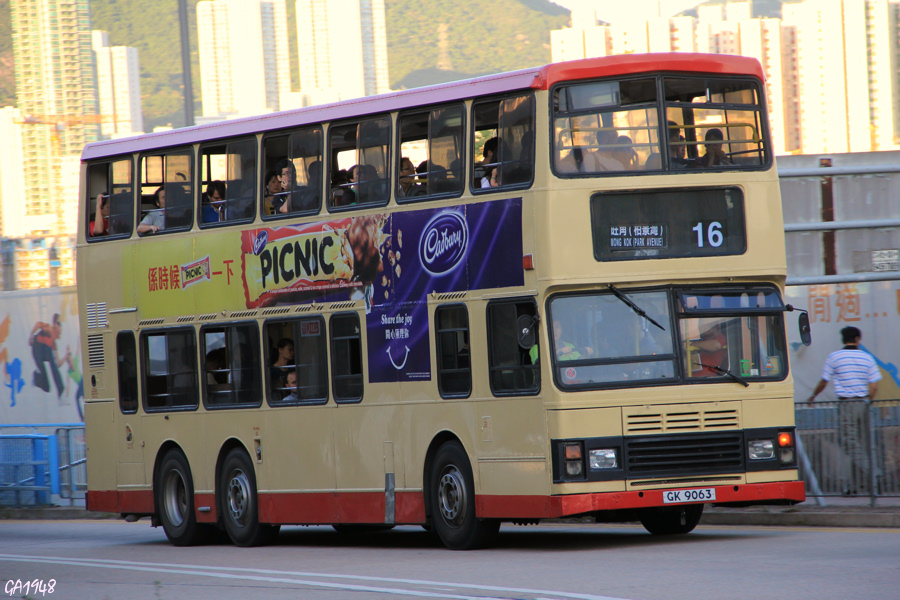 9063 1.1.jpg