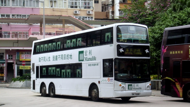 p8770569.jpg