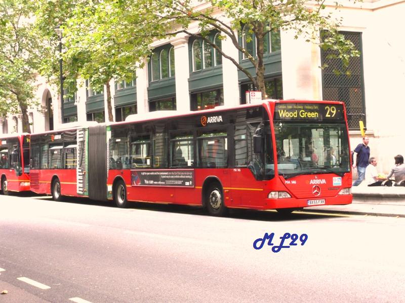 Bendi_29.jpg