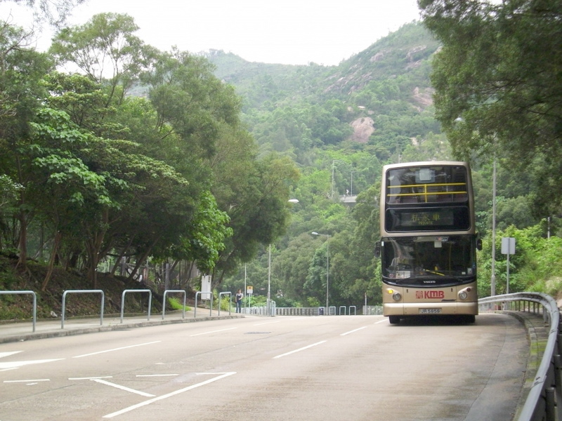p8620127.jpg