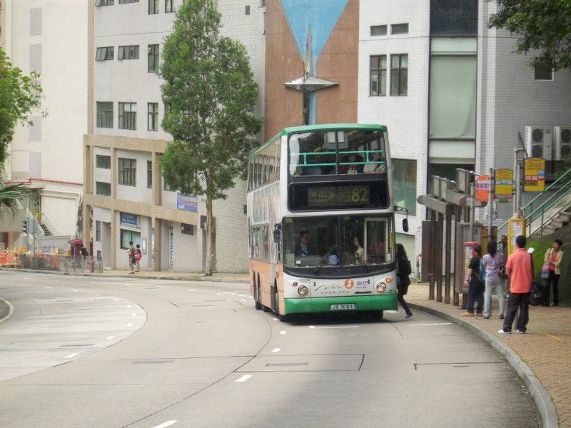 p8610418.jpg