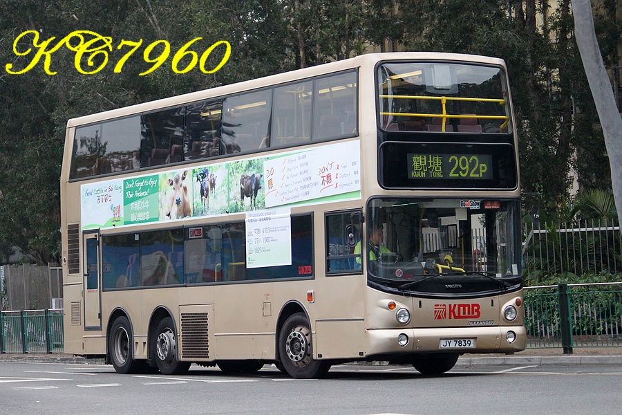 JY7839_292P.jpg