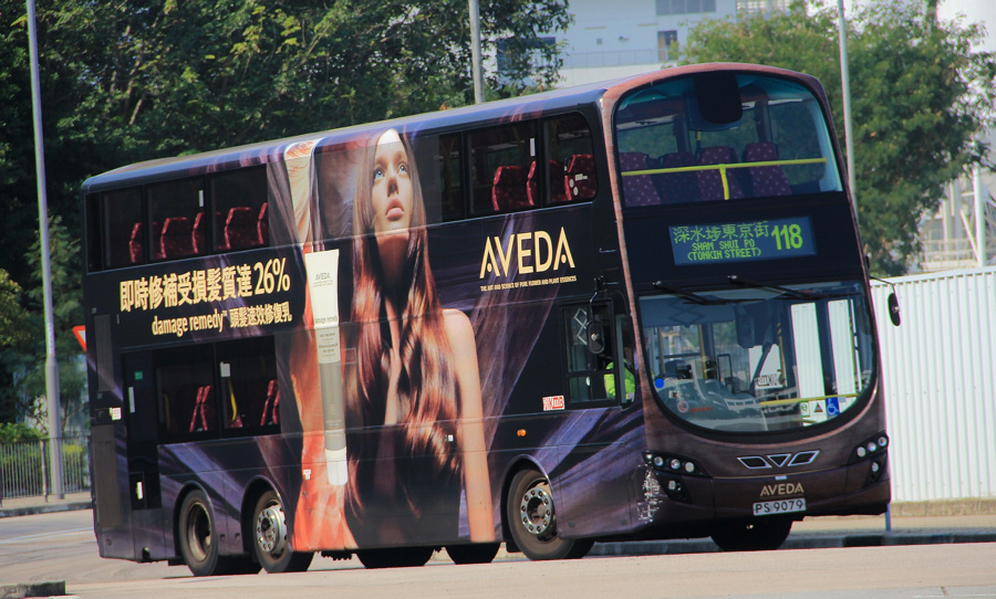 9079.jpg